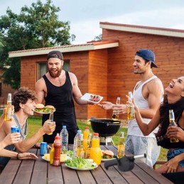 Pūstuvas grotelių, židinio, židinio uždegimui