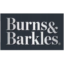 Burns & Barkles vielinis grilio šepetys grotelėms, 36 cm