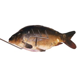 H-433 kabliukas karpinei žuviai rūkyti, 33 cm, stiprus inox