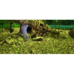 pH testribad veele, lakmuspaberid, 80 tk