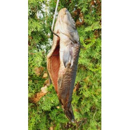 H-433 kabliukas karpinei žuviai rūkyti, 33 cm, stiprus inox