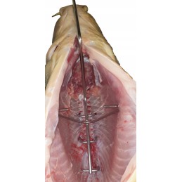 H-433 kabliukas karpinei žuviai rūkyti, 33 cm, stiprus inox