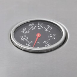 Vidaxl dujinis grilis su kaitinimo zona 4 1, juoda ir sidabrinė