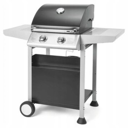 Fieldmann FZG3102 dujinis grilis sidabro juodas