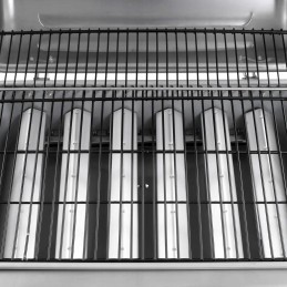 Vidaxl dujinis grilis su 6 degikliais sidabro spalvos