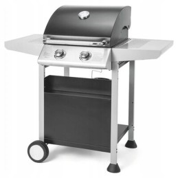 Fieldmann FZG3102 dujinis grilis sidabro juodas