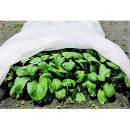 Baltos agrotekstilės plotis 320 cm + dvigubai sutvirtinti kraštai 2 x 25 cm  370 cm p30 (30g/m2)