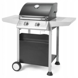 Fieldmann FZG3102 dujinis grilis sidabro juodas