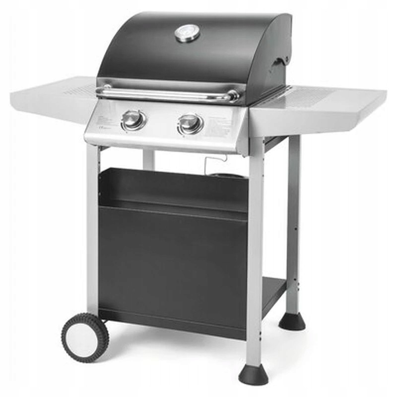 Fieldmann FZG3102 dujinis grilis sidabro juodas