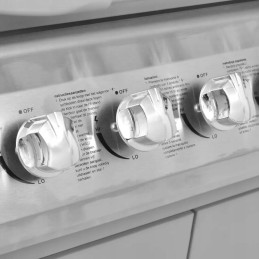 Vidaxl dujinis grilis su 6 kaitvietėmis 1, sidabrinis