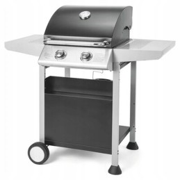 Fieldmann FZG3102 dujinis grilis sidabro juodas