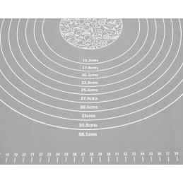 Silikoninė lenta 64x45cm