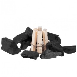 Woodson ugnies starteris, anglies grilio įdėklas