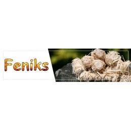 Ekologiškas kūrenimas, 10 vnt., feniksas