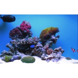 Labai smulkaus kvarcinio smėlio akvariumas 0 1 0 2 mm 1 kg