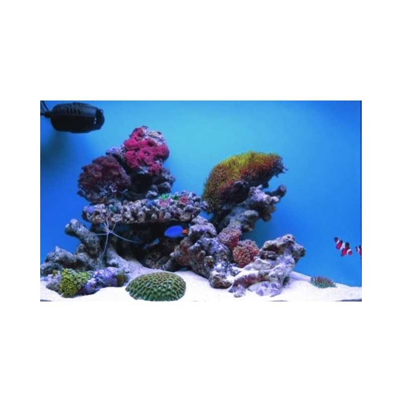 Labai smulkaus kvarcinio smėlio akvariumas 0 1 0 2 mm 1 kg