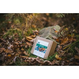 Woodson ekologinis kūrenimas, paruoštas anglies įdėklas kepsniui, 0,5 kg ugnies