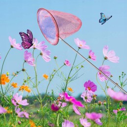 Tinklelis nuo drugelių, vabzdžiai, žuvytės vaikams, teleskopinis baseino nusileidimo tinklas