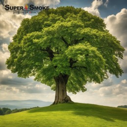 Super dūmų vaisių rūkymo traškučiai slyvų dydis: l 8 litrai