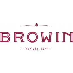 Browin termometras BBQ rūkyklai, 0-250°C