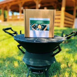 Woodson ugnies starteris, grilio įdėklas su briketais