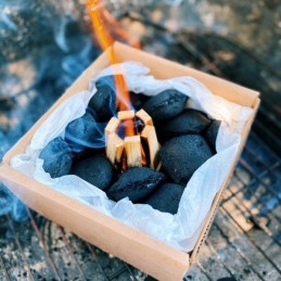 Woodson ugnies starteris, grilio įdėklas su briketais