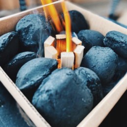 Woodson ugnies starteris, grilio įdėklas su briketais