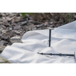 Trąšos – įsišaknijimas 1kg