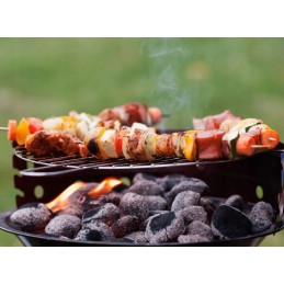 Dancoal medienos briketai 2,5 kg