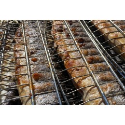 Grilis žuvies kepimui