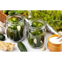 Klodavos akmens druska iš kasyklos 2kg