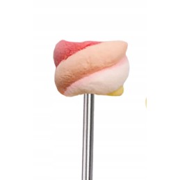 Zefyro lazdelės 70 cm, nerūdijančio plieno zefyrų lazdelės laužui