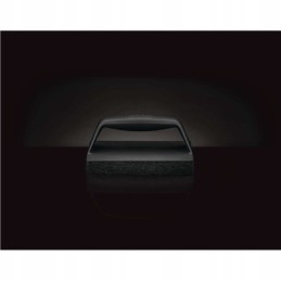 Napoleon grotelių valymo šepetys, 62003