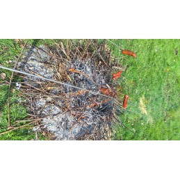 Wp pagaliukai, pagaliukai, šakutės laužui, 130 cm, nerūdijantys