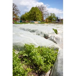 Žiemą dengianti agrotekstilė 50g balta 1,6x10m