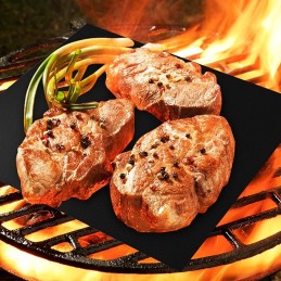 Tefloninis grilio kilimėlis, BBQ grilio padėklas