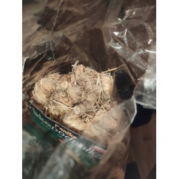 Feniks ekologiškas kūrenimas 100 vnt  1 kg.