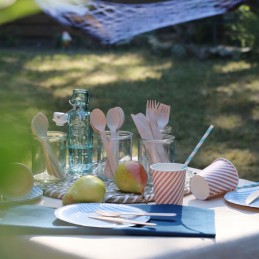 Grilio prieskonių rinkinys food truck druskos purtyklos padažai