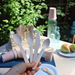 Grilio prieskonių rinkinys food truck druskos purtyklos padažai