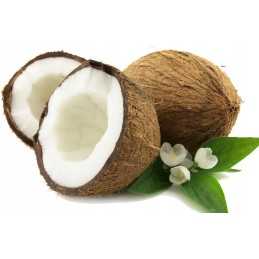 ➡️ Kokoso kilimėlis – medžių apsauga nuo šalčio