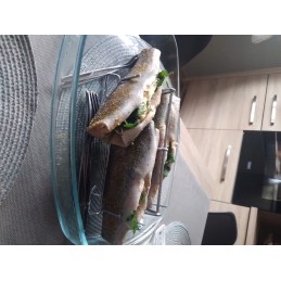 Tescoma plieno žuvies kepimo stovas