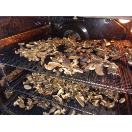 Tefloninės kepimo grotelės 40x33cm 4 vnt