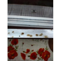 Iešmelių pagaliukai 50 cm 10 vnt