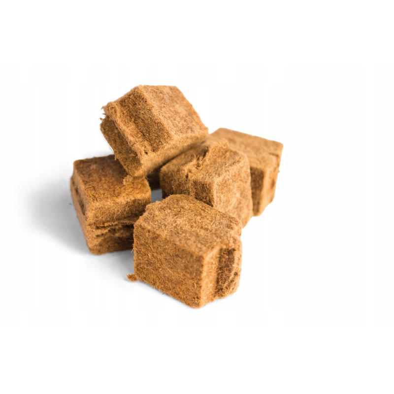 Ugnies starteris Napoleon 100 vnt