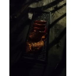 Liels dārza grils, pārnēsājamas ogles, salokāms tūristu čemodāns kempingam
