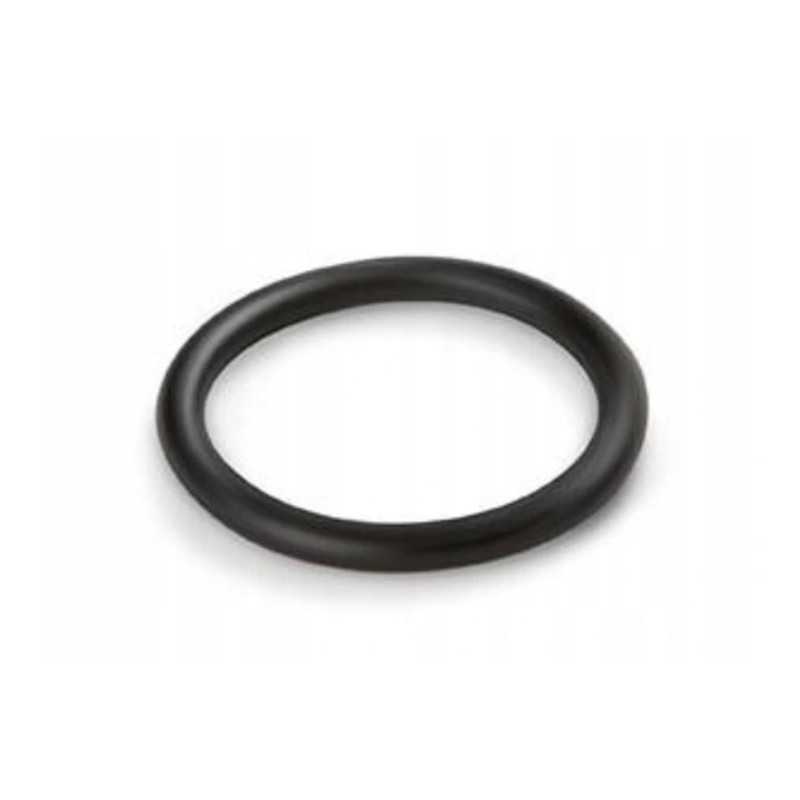 Intex 10134 sandarinimo žiedo sandariklis filtro siurblio žarnai