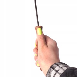 10 vnt grilio šakutė, skirta kepti ant laužo