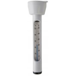 Plaukiojantis baseino termometras 29039 intex