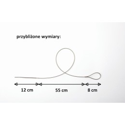 Lankstus Firewire iešmas 2 vnt