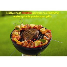 Lankstus Firewire iešmas 2 vnt